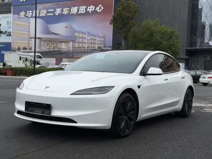 Model 3 2025 Model Facelift Rear-wheel drive version – фото 1