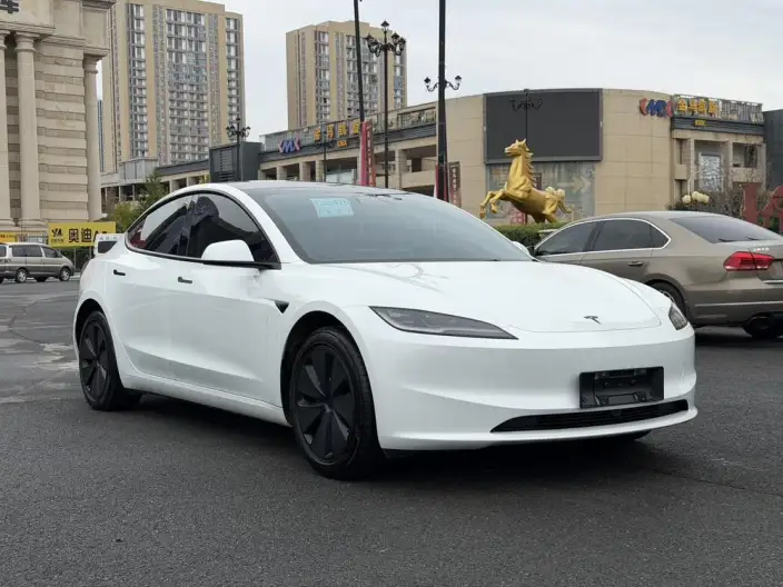 Model 3 2025 Model Facelift Rear-wheel drive version – фото 3