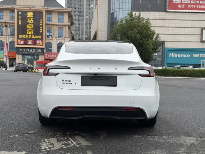 Model 3 2025 Model Facelift Rear-wheel drive version – фото 5