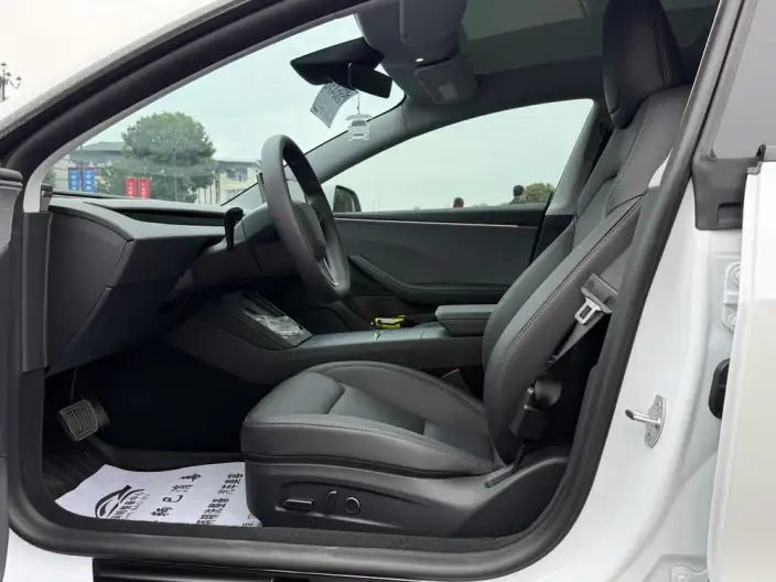 Model 3 2025 Model Facelift Rear-wheel drive version – фото 10