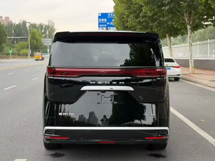 DENZA D9 DM 2025 Model Smart Driving Edition 1020 4WD Flagship Model – фото 5