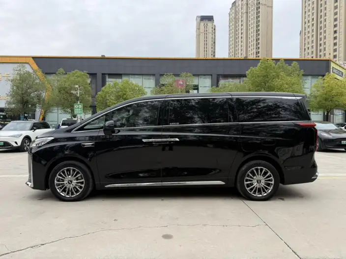 Wey Gaoshan P HEV 2025 Model 4WD Wey Gaoshan 8