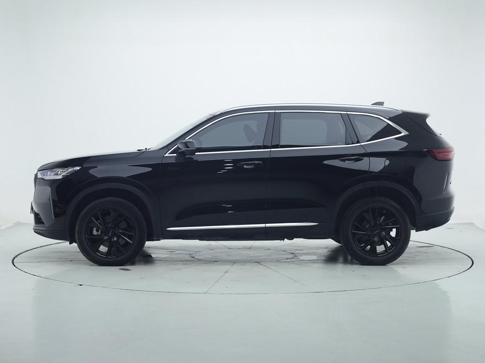 Haval H6 2021 Third Generation 2.0T Automatic 4WD Max Edition
