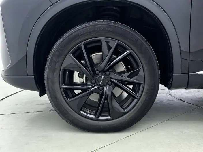 Haval H6 2021 Model Third generation 2.0T Automatic 4WD Max Edition – фото 9