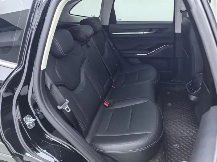 Haval H6 2021 Model Third generation 2.0T Automatic 4WD Max Edition – фото 24