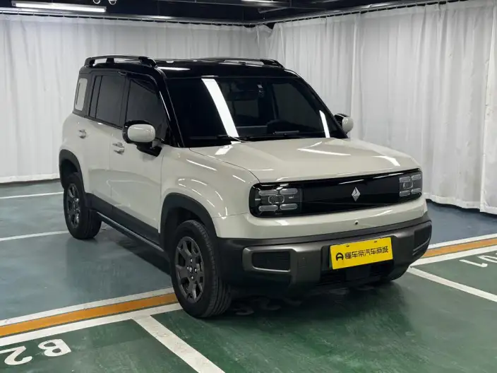 Yueye Plus 2026 Model 301km Ultimate Edition