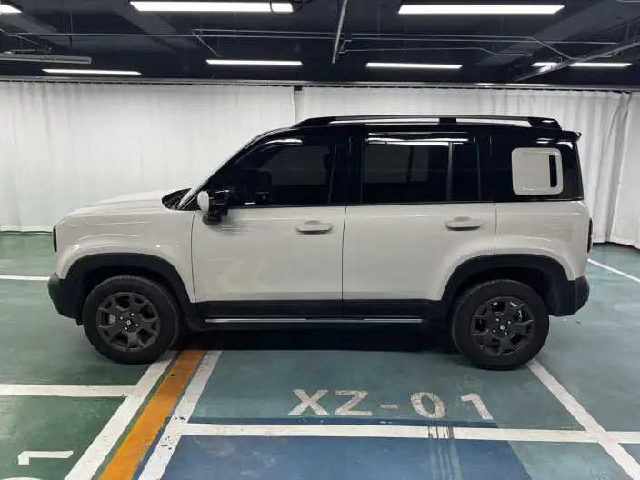 Yueye Plus 2026 Model 301km Ultimate Edition