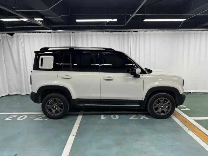 Yueye Plus 2026 Model 301km Ultimate Edition – фото 8