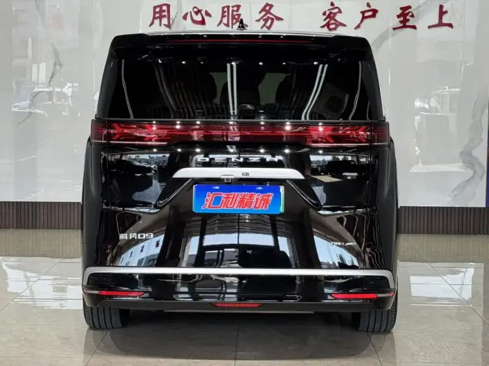 DENZA D9 DM 2022 Model 970 4WD Flagship Model – фото 5