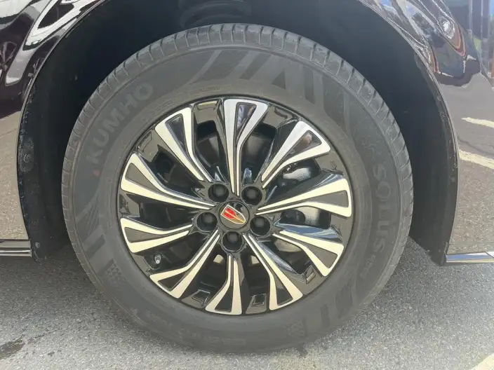 HONGQI HQ9 2024 Model Deluxe Edition – фото 9
