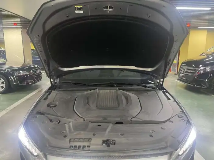 Qin Plus EV 2024 Model Honor Edition 510KM Leading Model – фото 8