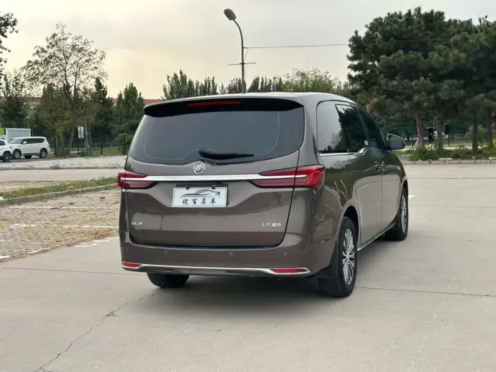 Buick GL8 2023 Model Business class 2.0T Comfort Model – фото 7