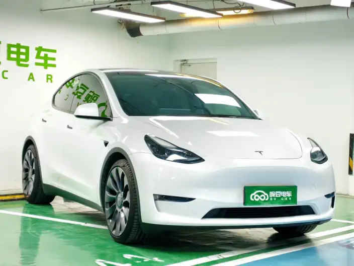 Model Y 2024 Model Performance High performance All-wheel drive version – фото 3