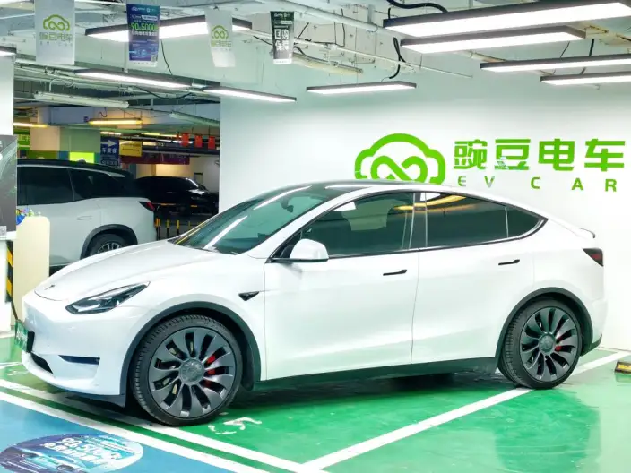 Model Y 2024 Model Performance High performance All-wheel drive version – фото 4