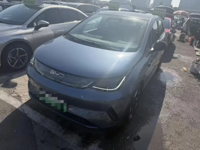 BYD Dolphin 2025 Model Smart Driving Edition 520KM Knight Edition – фото 1
