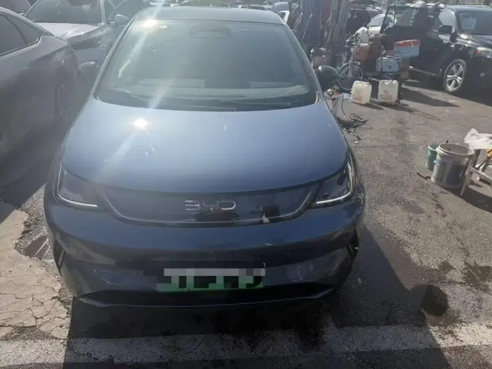 BYD Dolphin 2025 Model Smart Driving Edition 520KM Knight Edition – фото 2