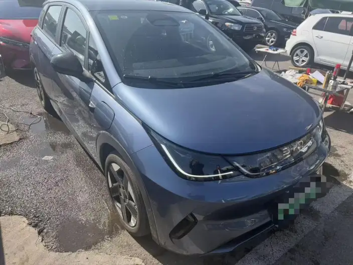 BYD Dolphin 2025 Model Smart Driving Edition 520KM Knight Edition – фото 3