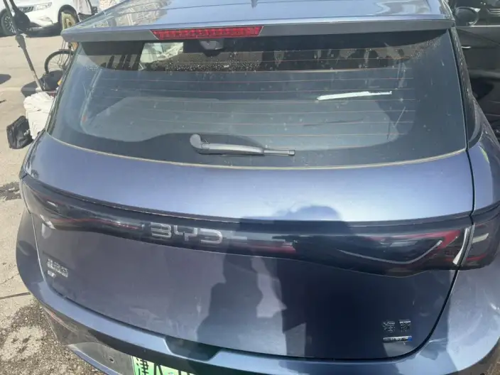 BYD Dolphin 2025 Model Smart Driving Edition 520KM Knight Edition – фото 4