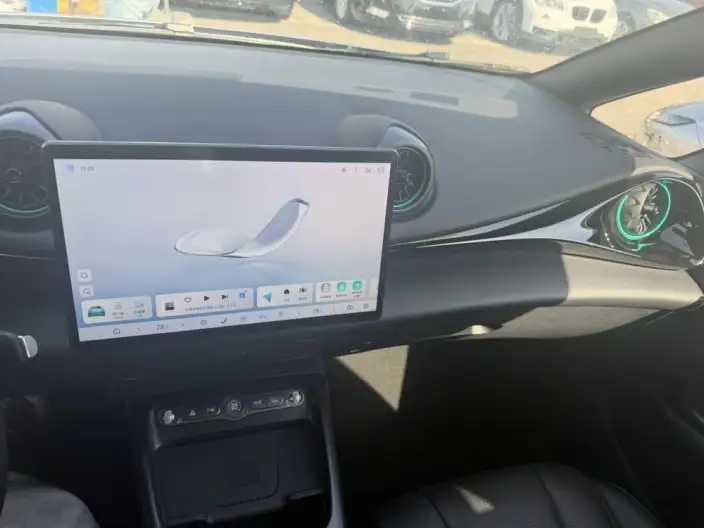 BYD Dolphin 2025 Model Smart Driving Edition 520KM Knight Edition – фото 6