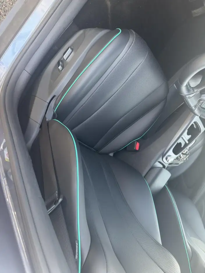 BYD Dolphin 2025 Model Smart Driving Edition 520KM Knight Edition – фото 8