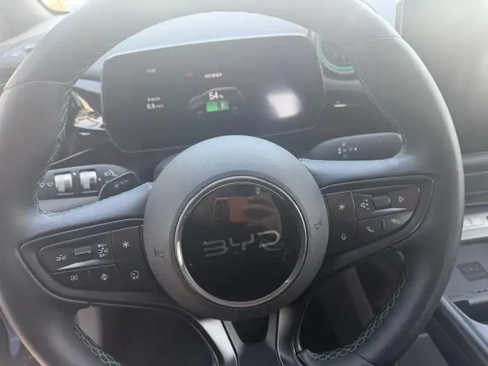 BYD Dolphin 2025 Model Smart Driving Edition 520KM Knight Edition – фото 10