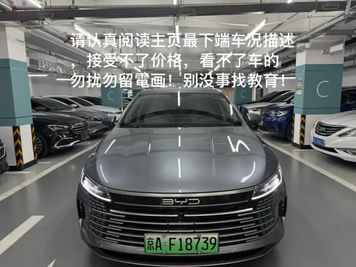 BYD Destroyer 05 2024 Model Honor Edition DM-i 55KM Luxury Model – фото 2