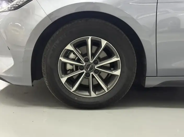 BYD Destroyer 05 2024 Model Honor Edition DM-i 55KM Luxury Model – фото 9