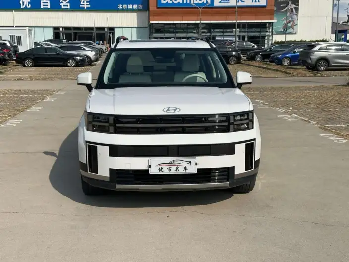 Hyundai Santa Fe 2024 Model 2.0T Tiggo Jia Pro