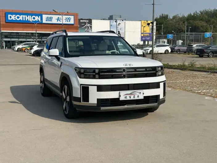 Hyundai Santa Fe 2024 Model 2.0T Tiggo Jia Pro