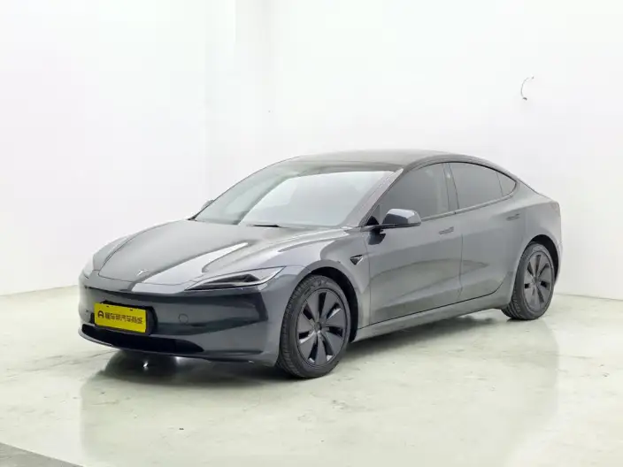 Model 3 2023 Model Long Battery Life Pro All-wheel drive version – фото 1