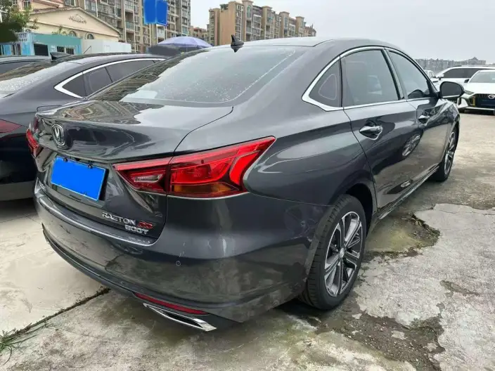 Changan Ruicheng CC 2022 Model Blue Whale Edition 1.5T DCT Luxury Model – фото 5