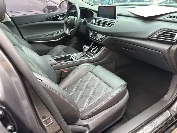 Changan Ruicheng CC 2022 Model Blue Whale Edition 1.5T DCT Luxury Model – фото 6