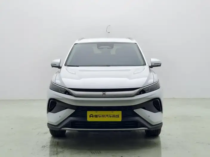 BYD Song Pro DM 2025 Model Second generation Smart Driving Edition DM-i 75KM Leading Model – фото 2