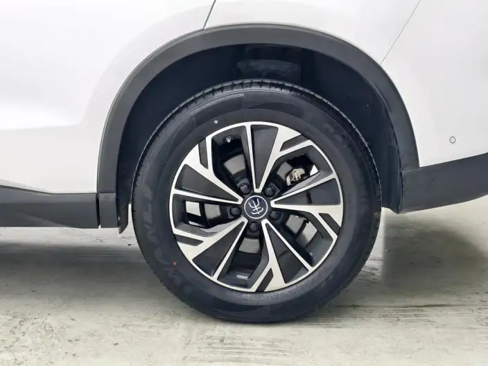 BYD Song Pro DM 2025 Model Second generation Smart Driving Edition DM-i 75KM Leading Model – фото 9