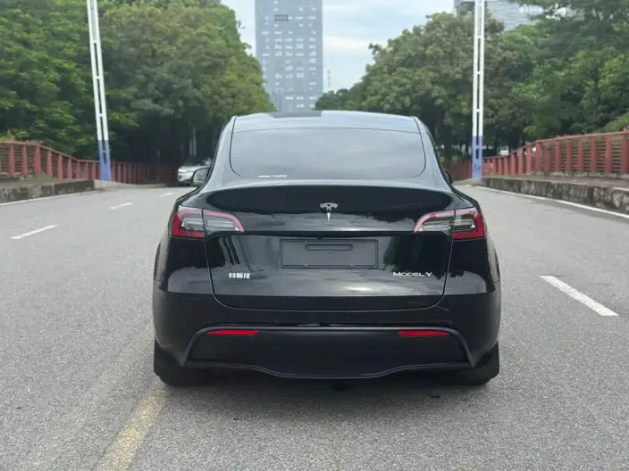 Model Y 2022 Model Facelift Rear-wheel drive version – фото 6