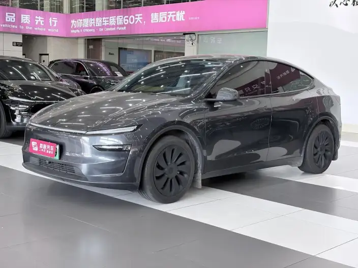 Model Y 2025 Model Rear-wheel drive version – фото 1