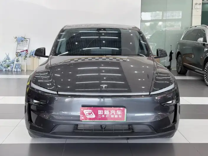 Model Y 2025 Model Rear-wheel drive version – фото 2