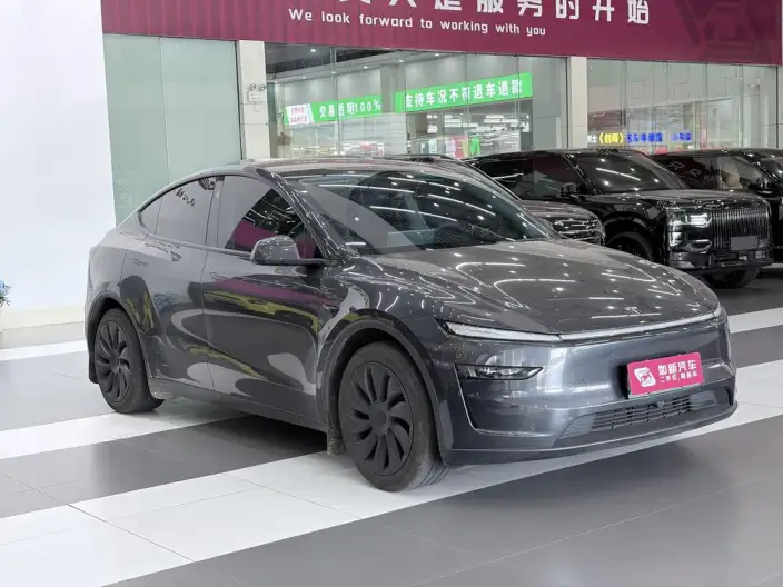 Model Y 2025 Model Rear-wheel drive version – фото 3