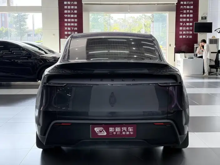 Model Y 2025 Model Rear-wheel drive version – фото 5