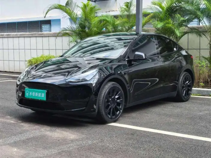Model Y 2022 Model Rear-wheel drive version – фото 1