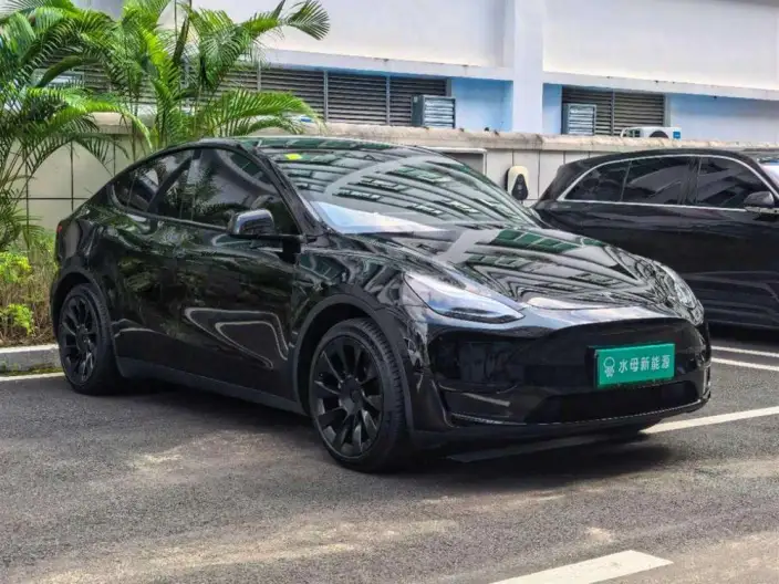 Model Y 2022 Model Rear-wheel drive version – фото 3