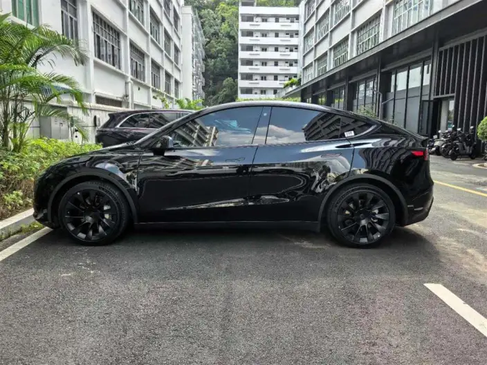 Model Y 2022 Model Rear-wheel drive version – фото 4