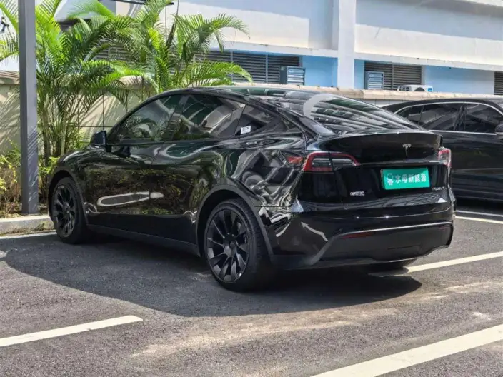 Model Y 2022 Model Rear-wheel drive version – фото 5