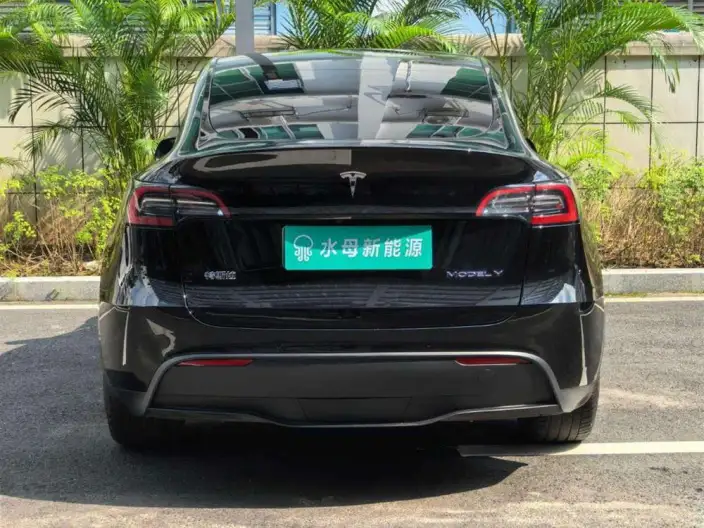 Model Y 2022 Model Rear-wheel drive version – фото 6