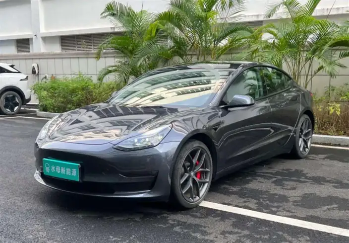 Model 3 2022 Model Performance High performance All-wheel drive version – фото 1