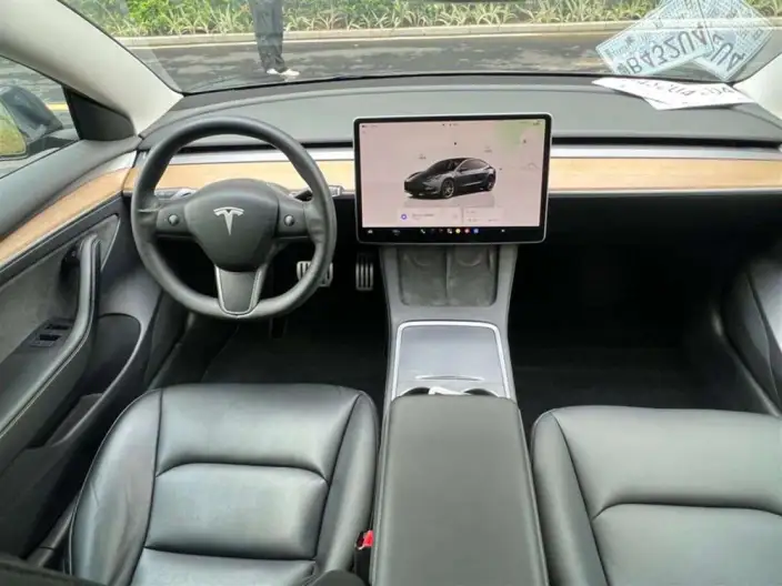Model 3 2022 Model Performance High performance All-wheel drive version – фото 10