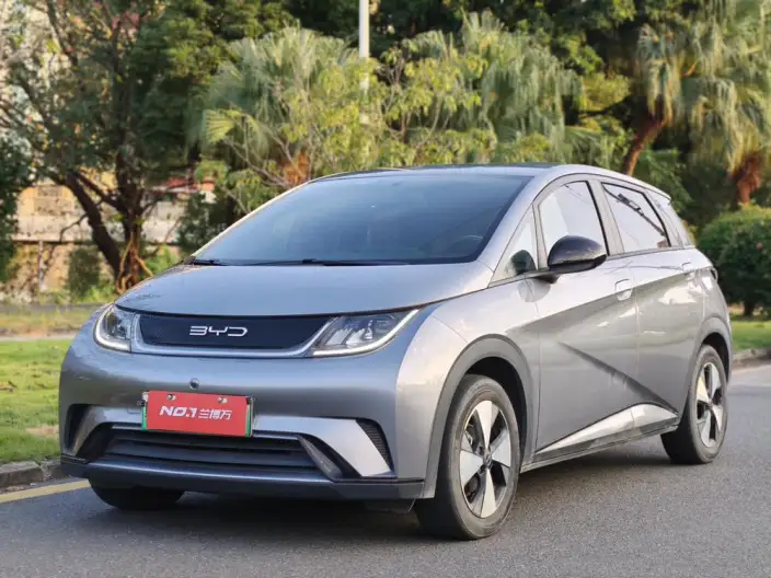 BYD Dolphin 2023 Model Free Edition – фото 1