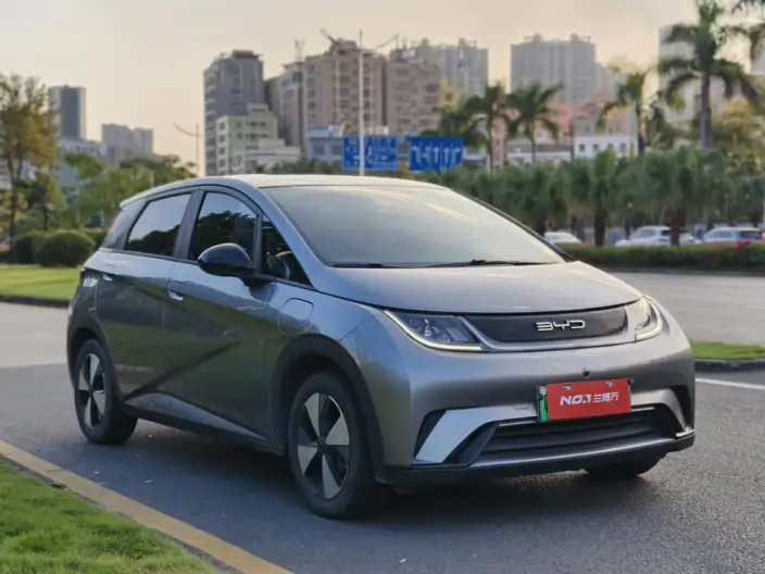 BYD Dolphin 2023 Model Free Edition – фото 3