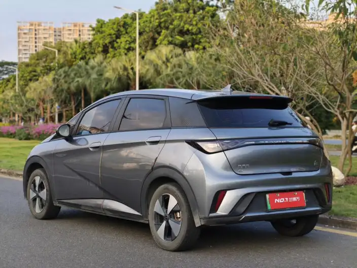 BYD Dolphin 2023 Model Free Edition – фото 5
