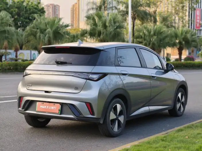 BYD Dolphin 2023 Model Free Edition – фото 7